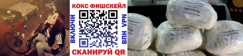 Купить где  Заринск  КОКАИН Fish Scale 