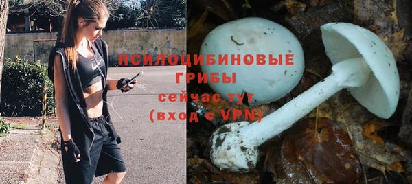 соль курить ск Кинешма