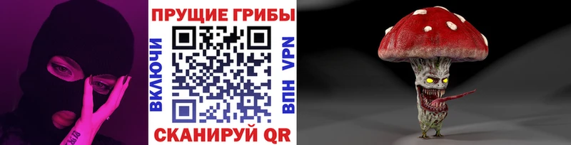 Купить закладки  Заринск  Галлюциногенные грибы Cubensis 